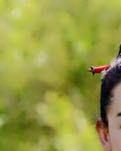 【如云】我踩疼了你的日子（诗歌）