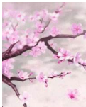 【丹枫】桃雨诗燃思君来 （古韵）