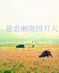 【晓荷·四季的故事】最 恋 湘 南 四 月 天（散文）