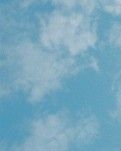 【星月感恩】常怀一颗感恩的心（散文）