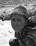 【晓荷·四季的故事】向死而生（散文）