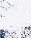 【荷塘“PK大奖赛”】等待一场雪（外一首）