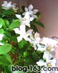 【看点】想念母亲做的美食（散文）