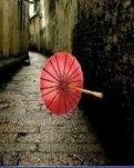 【丹枫】雨巷（诗歌）