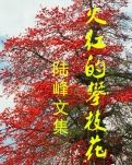 【流年】巧家诗章·绿茵塘（散文）