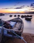 【菊韵】我家住在渤海湾畔（散文）