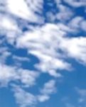 【荷塘“PK大奖赛”】七律·初夏五月天（古韵一组）