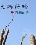 【晓荷】无所附着的悼念（诗歌）