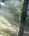 【文采】蓬魔寿宴（随笔）