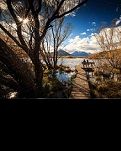 【菊韵】路弯弯，情弯弯（中篇小说）