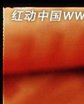 【晓荷】舌尖上的美味（散文）