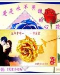 【荷塘“PK大奖赛”】 真爱，是生命里永不凋谢的花（诗歌）
