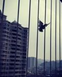 【赏析】用四肢去体验诗行，用脑子去生活，把心留给读者