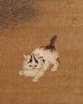 【星月】猫来猫往（散文）