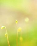 【时光】人间最美四月天，人生四月是少年（散文）