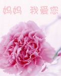 【柳岸•爱】夏树苍翠忆母恩（散文）