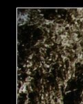 【晓荷.遇见】难忘南湖那艘船 （诗歌）