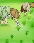 【菊韵】插秧时节（散文）