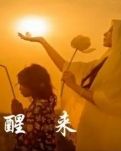 【星月】柳岸生命的醒来（诗歌）