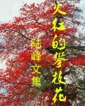 【荷塘“PK大奖赛”】攀枝花（散文）