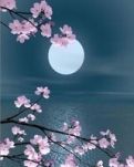 【暗香】心香一瓣沁人间（组诗）