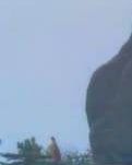 【丹枫】红楼 . 金陵十二钗（古韵）