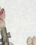 【荷塘“PK大奖赛”】落笔书花，诗意华年（散文）