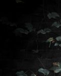 【晓荷·遇见】纸上雨细（组诗）