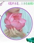 【荷塘“PK大奖赛”】花开为莲，只为你潋滟（外一首）