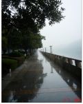 【楚汉】七律·听雨(外二首)（古韵）