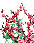 【柳岸•暖】现代丈母娘（诗歌）