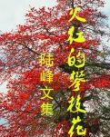 【荷塘“pk大奖赛”】罗公公（散文）