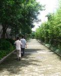 【江南】最美的风景（散文）