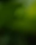 【看点】马蹄河湾的彩色水稻（诗歌外两首）