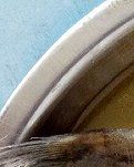 【晓荷.遇见】舌尖上的美味——黄骨头鱼煮豆腐 （散文）