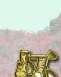【晓荷·遇见】怀念父亲（诗歌）