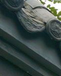 【看点】母校的旧围墙(诗歌)