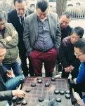【晓荷.遇见】散步拾粹（组诗）