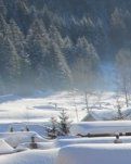 【柳岸·爱】小雪（小说）