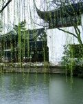 【丹枫】梦江南（组诗）