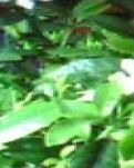 【看点】贵阳美食印象深刻（散文）