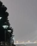 【晓荷.遇见】江城之夜（外一首）