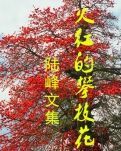 【丹枫】飞向岳山（散文）