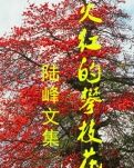 【丹枫】老徐（散文）