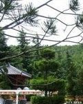 【晓荷.遇见】西部走笔四章之一（续篇）