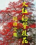 【菊韵】缘来缘去（散文）