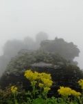 【看点】星星还在，只此一眼便重回江湖(散文）