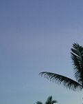 【荷塘】穿越时空之旅（散文）