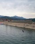 【微刊视界】 悔
