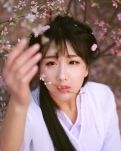 【桃源】落雨飞花（外一首）